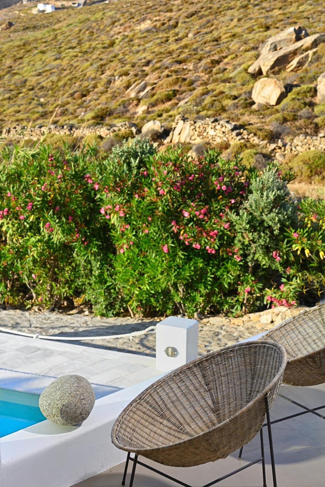 Mykonos Dream Villas Ftelia  Ngoại thất bức ảnh